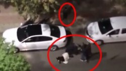 Siirt’te bir kadın, yol ortasında darbedildi