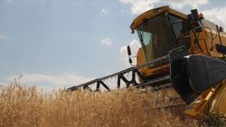 TMO, 455 bin ton ekmeklik buğday ithalatı için ihale açtı