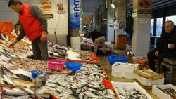 Kocaeli'de balık fiyatları geriledi