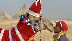 Mısır'da deveye Noel baba kıyafeti giydirildi