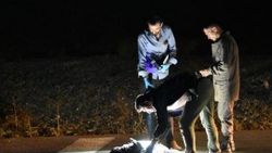Konya'da parçalanmış erkek cesedi bulundu