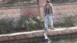 Eskişehir'de kediye işkence protestosunda köpek tepkisi