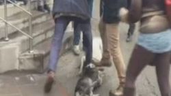 Kavga eden köpekleri tekmeyle ayırdılar İZLE