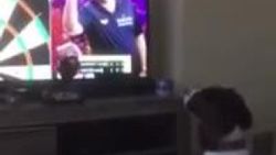 Şaşkın köpek televizyonda atılan okun peşine koştu