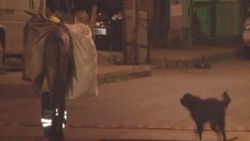 Çöpleri toplayan işçiyi rahat bırakmayan köpek İZLE