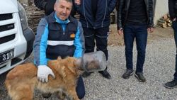Kafası bidona sıkışan köpek kurtarıldı