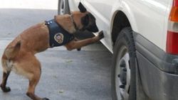 Eroin yapımında kullanılacak kimyasal ele geçirildi