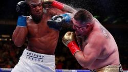 Andy Ruiz, Joshua'yı nakavt etti