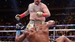 Andy Ruiz-Joshua rövanşının tarihi belli oldu