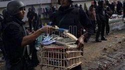 Mısır polisine 35 milyon dolar ikramiye