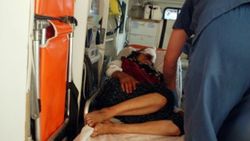 Adıyaman'da kurt saldırısı: 2 yaralı