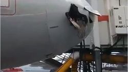 Uçağa çarpan kuş sıkıştı kaldı