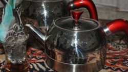 Manisa'da muhabbet kuşu çay bardağına girdi