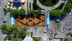 Dünyanın en büyük lale halı motifi havadan görüntülendi