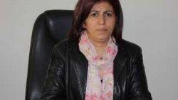 BDP'li başkana şok gözaltı