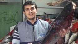 Karadeniz'den 10 kiloluk levrek çıktı