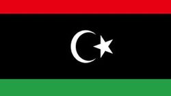 Libya'da kaçırılan Türk vatandaşı serbest