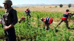 Lice'de yeraltında 100 ton esrar zulalanmış