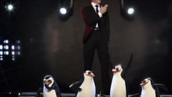 Pitbull Madagaskarlı Penguen çetesiyle birlikte İZLE