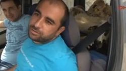 Maltepe'de araba içindeki koyunlarla yolculuk İZLE