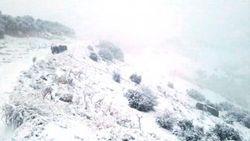 Manisa'da öğrenci servisi kaza yaptı