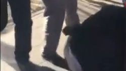 PKK sloganı atan 2 kişiye linç girişimi İZLE