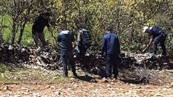Şırnak ve Diyarbakır'da terör operasyonları