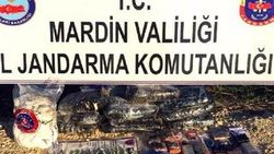 Mısır tarlasında 55 kilo plastik patlayıcı ele geçirildi