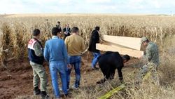 Mardin'de yakılmış 2 erkek cesedi bulundu