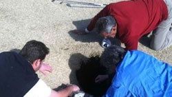 Amatör golfçüyü golf deliği yuttu