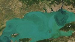 Marmara fayından yeraltı gazları çıkıyor