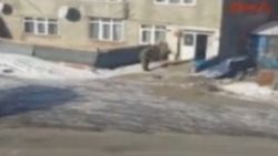 Mehmetçik odun kıran ninenin yardımına koştu