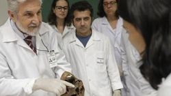 Ölüm Meleğinin Mengele'in kemikleri ders malzemesi oldu