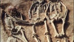 İHD: Türkiye’de 348 toplu mezar var