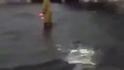 Irma Kasırgası Miami Havalimanı'nı sular altında bıraktı