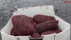 300 kilo midye avlayan kişiye bin 155 lira para cezası
