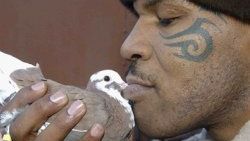 Sevgilisi Mike Tyson'ın kuşunu yedi
