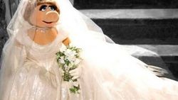 Miss Piggy Muppets Aranıyor ile ekranlara geri döndü - izle