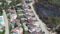Mudanya'ya tutuşmayan ağaçlar dikilecek
