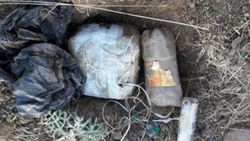 Muş'ta PKK operasyonu