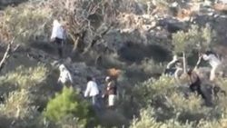 Yahudi yerleşimciler Filistinlilerin ağaçlarına saldırdı