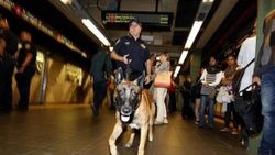 New York'ta IŞİD alarmı