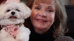 New York'ta bir kadın servetini köpeğine bıraktı