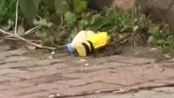 İstanbul'da bomba paniği