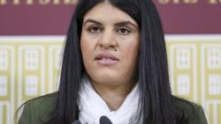 Öcalan'ın doğum günü için yeğeni çağrı yaptı