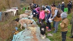 Öğrencileriyle yemek artıklarını hayvanla dağıtıyor