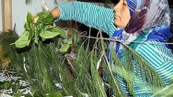 Hatay'da kullanılmayan okul Öztürk'ün geçim kapısı oldu