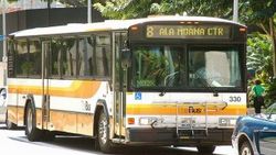 Hawaii'de eski otobüsler evsizlere yuva oluyor
