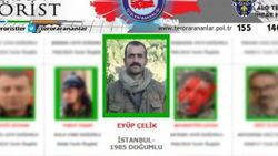 Yeşil listedeki terörist etkisiz hale getirildi
