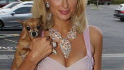 Paris Hilton oy verdiği adayı açıkladı